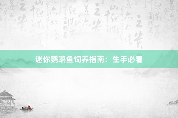 迷你鹦鹉鱼饲养指南：生手必看
